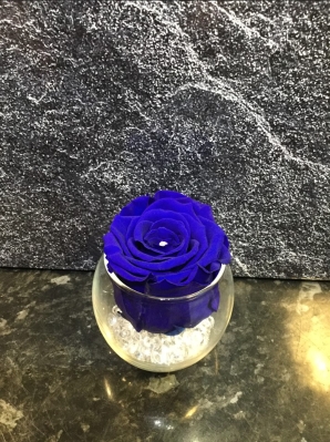 AMAZING EVERLASTING ROSE WHICH LASTS FOR OVER A YEAR! BLUE