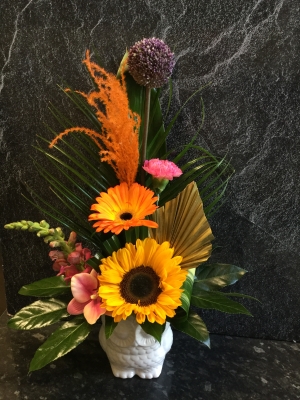 VIBRANT CUTSIE OWL ARRANGEMENT