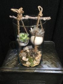 Rustic hanging succulents in glass cylinder vase