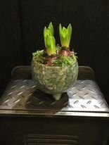 Handmade footed bowl with hyacinth